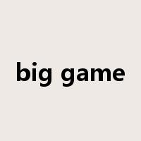 big game是什么意思