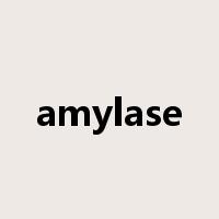 amylase是什么意思