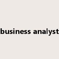 business analyst是什么意思