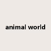 animal world是什么意思