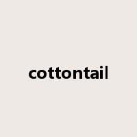 cottontail是什么意思