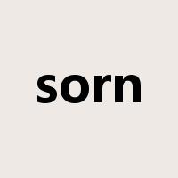 sorn是什么意思