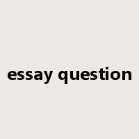essay question是什么意思