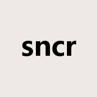 sncr是什么意思