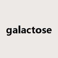 galactose是什么意思