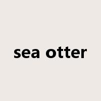 sea otter是什么意思