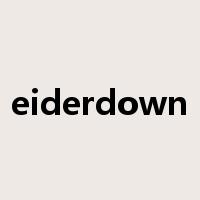 eiderdown是什么意思