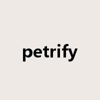 petrify是什么意思