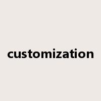 customization是什么意思