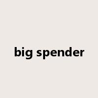 big spender是什么意思