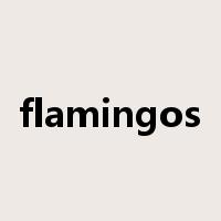 flamingos是什么意思