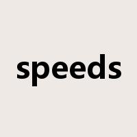 speeds是什么意思