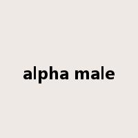 alpha male是什么意思
