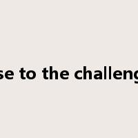 rise to the challenge是什么意思