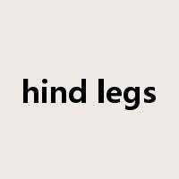 hind legs是什么意思