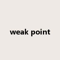 weak point是什么意思