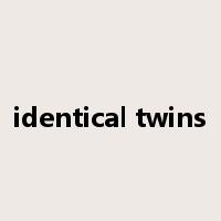 identical twins是什么意思