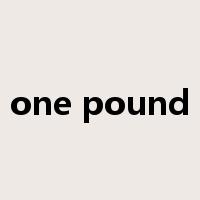 one pound是什么意思