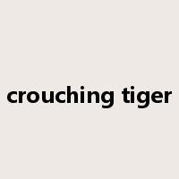 crouching tiger是什么意思