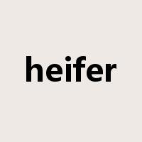 heifer是什么意思