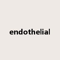 endothelial是什么意思