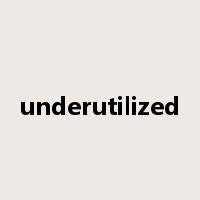 underutilized是什么意思