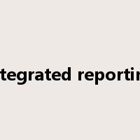 integrated reporting是什么意思