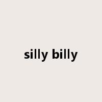 silly billy是什么意思