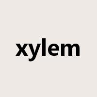 xylem是什么意思