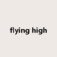 flying high是什么意思