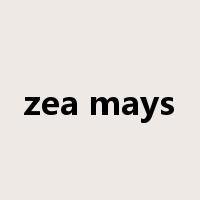 zea mays是什么意思