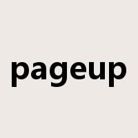 pageup是什么意思