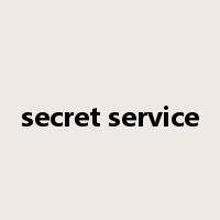 secret service是什么意思