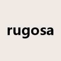 rugosa是什么意思