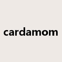 cardamom是什么意思