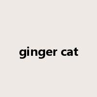 ginger cat是什么意思