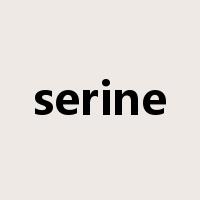 serine是什么意思