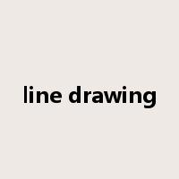 line drawing是什么意思