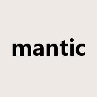 mantic是什么意思