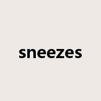 sneezes是什么意思