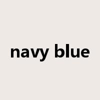 navy blue是什么意思