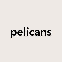 pelicans是什么意思