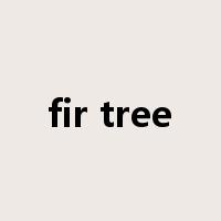 fir tree是什么意思