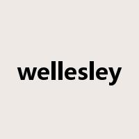 wellesley是什么意思