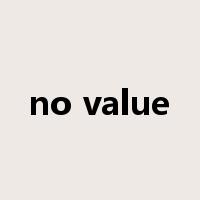 no value是什么意思