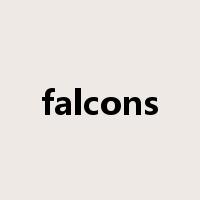 falcons是什么意思