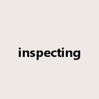 inspecting是什么意思
