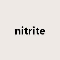 nitrite是什么意思