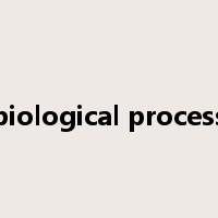 biological process是什么意思