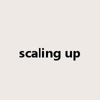 scaling up是什么意思